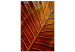 Canvas Copper leaf - a photograph of an autumn leaf in warm colours 123914