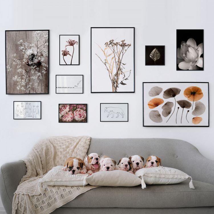 Wall gallery pictures Flowery meadow 124914