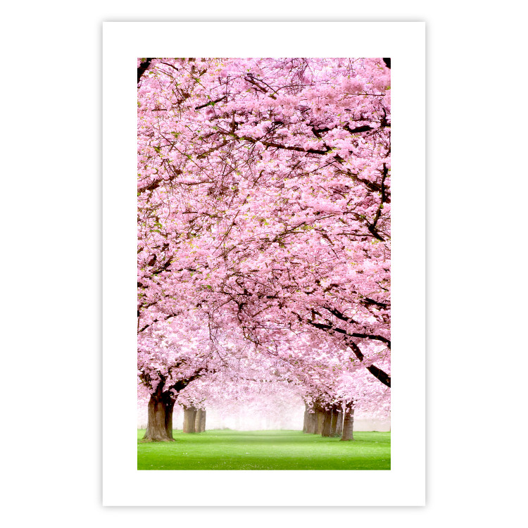 Wall Poster Cherry Orchard - landscape of green grass and trees with pink leaves 126214 additionalImage 19