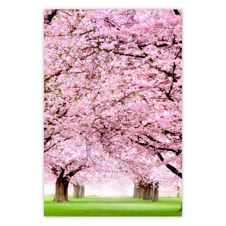 Wall Poster Cherry Orchard - landscape of green grass and trees with pink leaves 126214