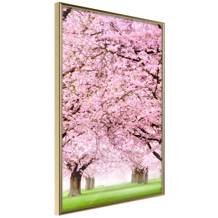 Wall Poster Cherry Orchard - landscape of green grass and trees with pink leaves 126214 additionalImage 12