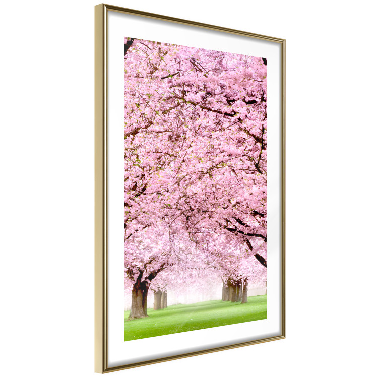 Wall Poster Cherry Orchard - landscape of green grass and trees with pink leaves 126214 additionalImage 6