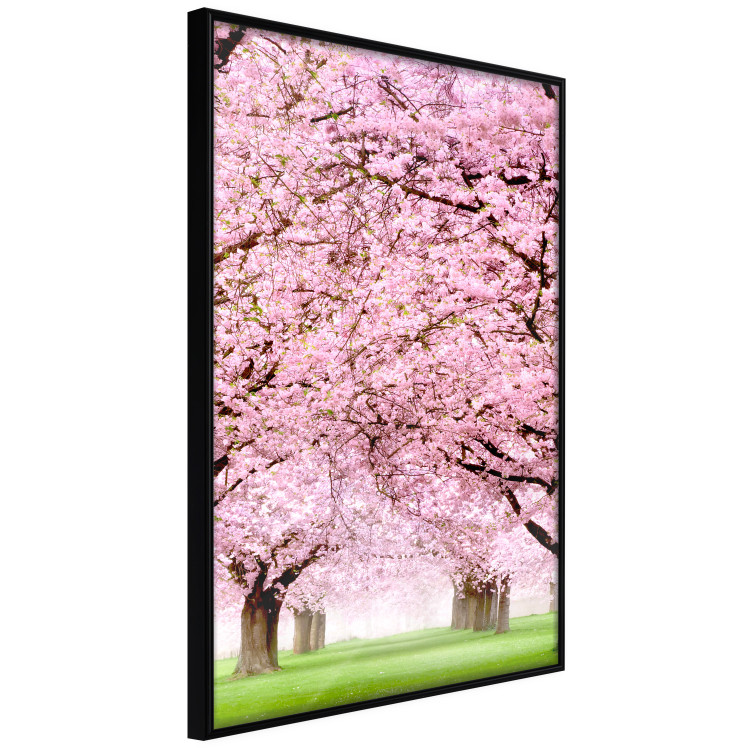 Wall Poster Cherry Orchard - landscape of green grass and trees with pink leaves 126214 additionalImage 10