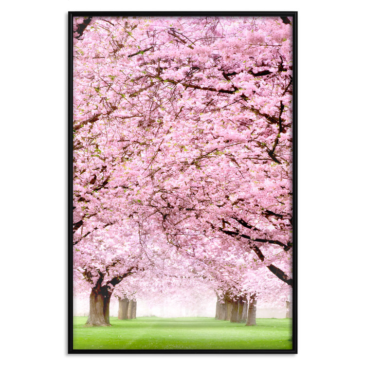 Wall Poster Cherry Orchard - landscape of green grass and trees with pink leaves 126214 additionalImage 18
