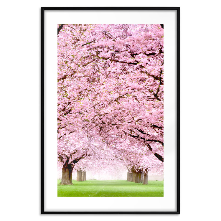 Wall Poster Cherry Orchard - landscape of green grass and trees with pink leaves 126214 additionalImage 15