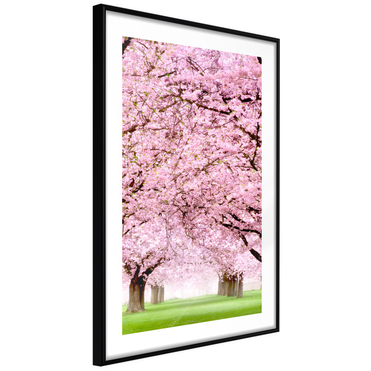 Wall Poster Cherry Orchard - landscape of green grass and trees with pink leaves 126214 additionalImage 11
