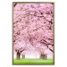 Wall Poster Cherry Orchard - landscape of green grass and trees with pink leaves 126214 additionalThumb 20