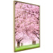 Wall Poster Cherry Orchard - landscape of green grass and trees with pink leaves 126214 additionalThumb 12