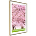 Wall Poster Cherry Orchard - landscape of green grass and trees with pink leaves 126214 additionalThumb 6