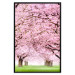 Wall Poster Cherry Orchard - landscape of green grass and trees with pink leaves 126214 additionalThumb 18