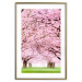Wall Poster Cherry Orchard - landscape of green grass and trees with pink leaves 126214 additionalThumb 14