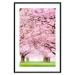 Wall Poster Cherry Orchard - landscape of green grass and trees with pink leaves 126214 additionalThumb 15