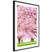 Wall Poster Cherry Orchard - landscape of green grass and trees with pink leaves 126214 additionalThumb 11