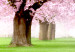 Wall Poster Cherry Orchard - landscape of green grass and trees with pink leaves 126214 additionalThumb 8