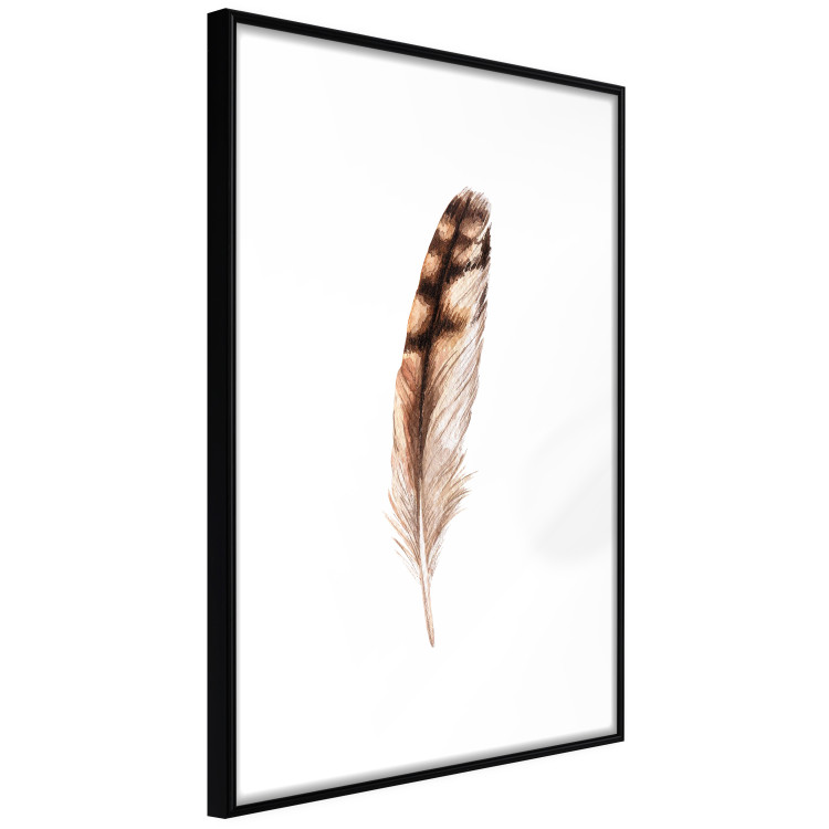 Wall Poster Magic Feather - brown bird feather on a contrasting white background 129914 additionalImage 8