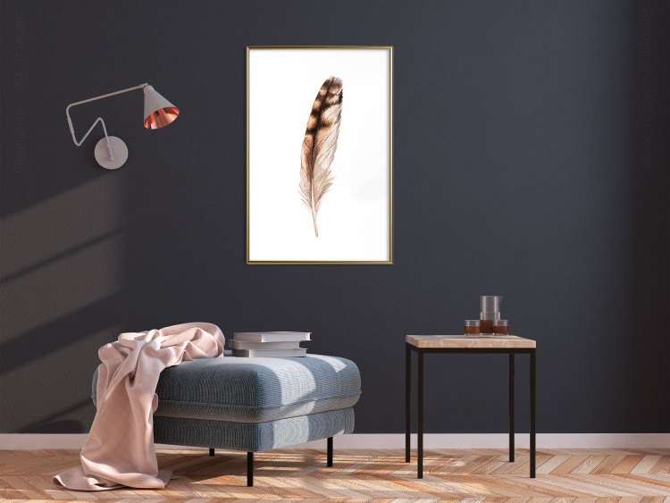 Wall Poster Magic Feather - brown bird feather on a contrasting white background 129914 additionalImage 7
