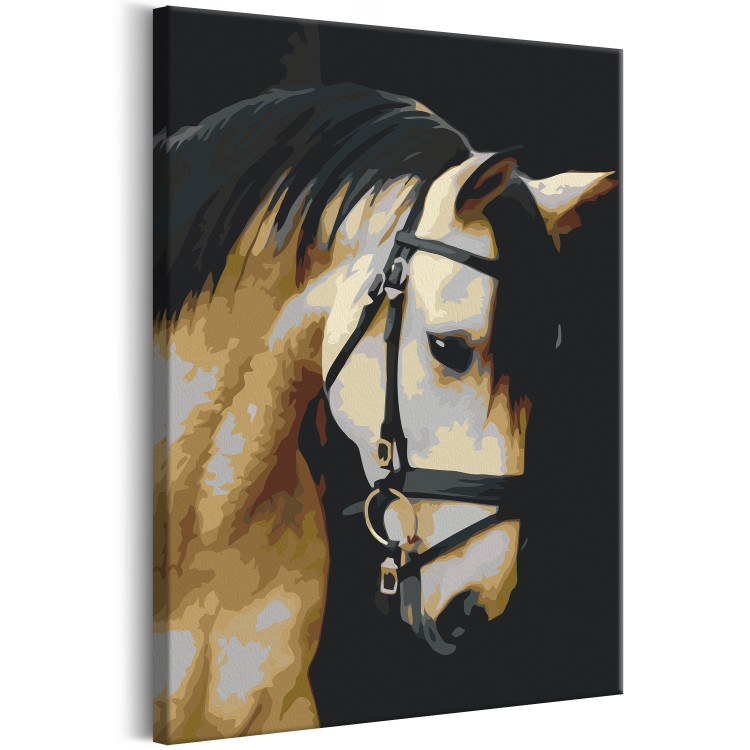Paint by number Horse Portrait  132314 additionalImage 5