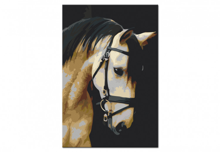 Paint by number Horse Portrait  132314 additionalImage 6