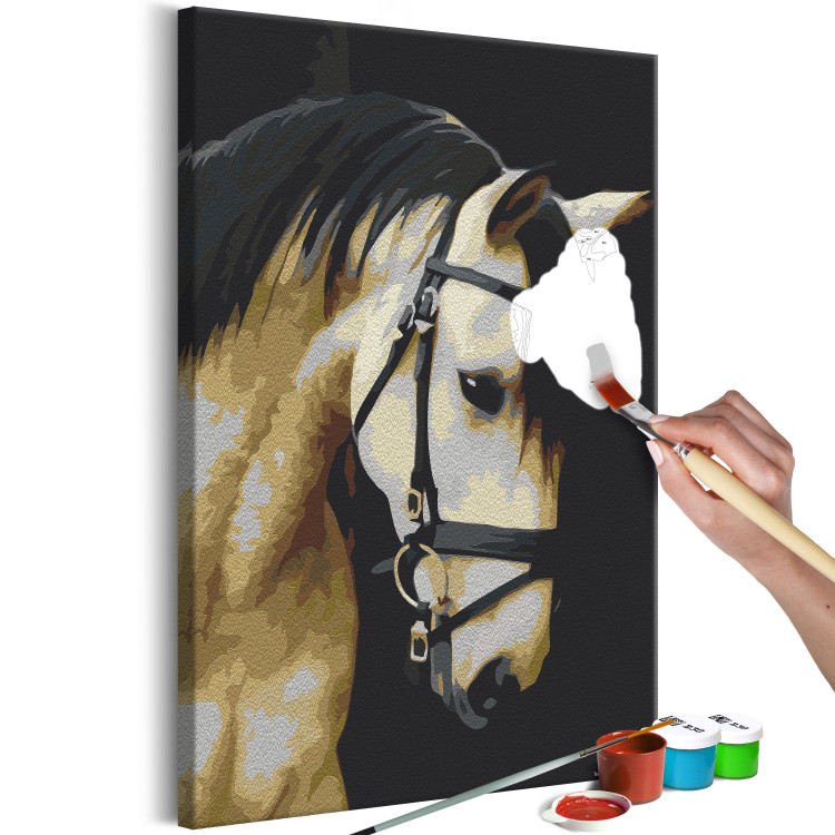 Paint by number Horse Portrait  132314 additionalImage 3