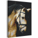 Paint by number Horse Portrait  132314 additionalThumb 5