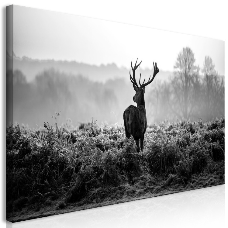 Large canvas print Deer in the Wild II [Large Format] 149114 additionalImage 3