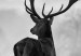 Large canvas print Deer in the Wild II [Large Format] 149114 additionalThumb 5