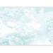 Wall Mural Snow Composition - Ice and Snow Background in a Shade of Pastel Turquoise 149214 additionalThumb 5