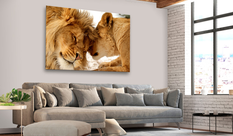 Large canvas print Lion Tenderness [Large Format] 150614 additionalImage 6