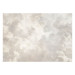 Photo Wallpaper Bright Texture of Clouds - Delicate Sky in Sepia and White Colors 159914 additionalThumb 1