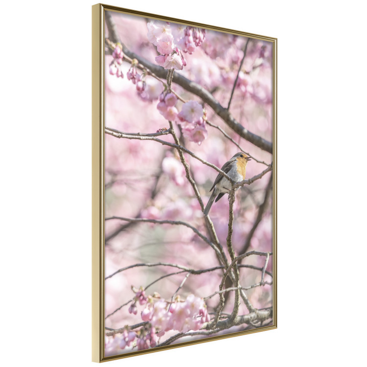 Wall Poster Robin on Tree - small bird among branches and pink apple blossoms 116724 additionalImage 14