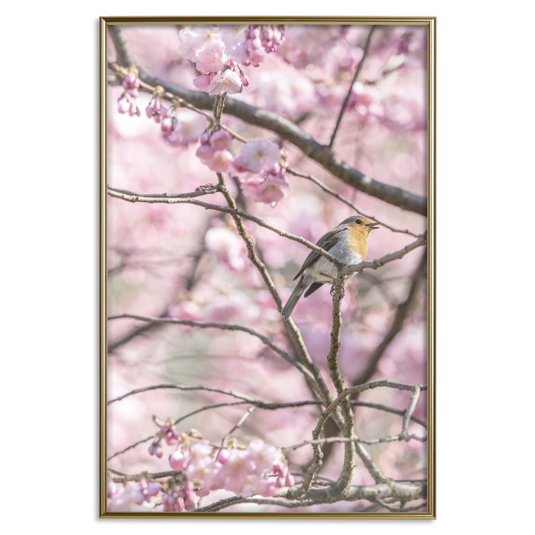Wall Poster Robin on Tree - small bird among branches and pink apple blossoms 116724 additionalImage 20