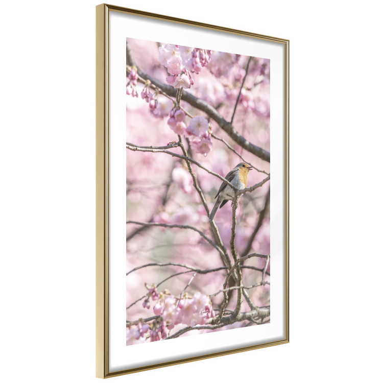 Wall Poster Robin on Tree - small bird among branches and pink apple blossoms 116724 additionalImage 6
