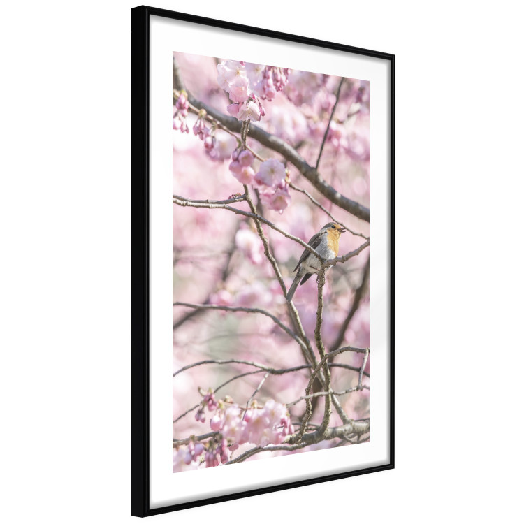 Wall Poster Robin on Tree - small bird among branches and pink apple blossoms 116724 additionalImage 11