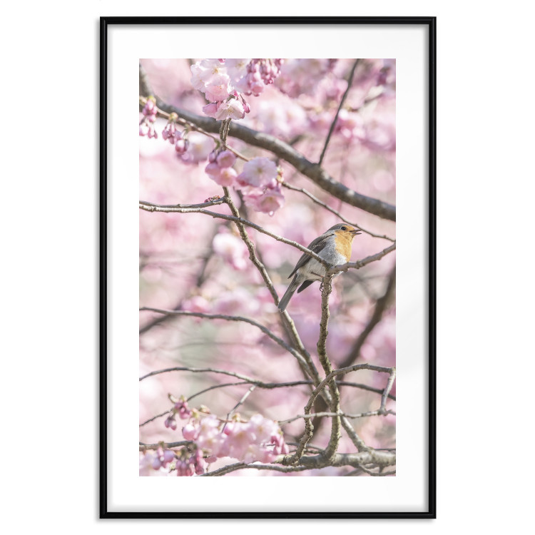 Wall Poster Robin on Tree - small bird among branches and pink apple blossoms 116724 additionalImage 19