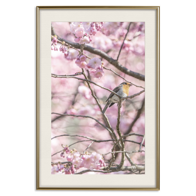 Wall Poster Robin on Tree - small bird among branches and pink apple blossoms 116724 additionalImage 24