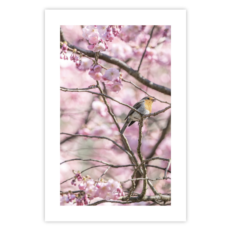 Wall Poster Robin on Tree - small bird among branches and pink apple blossoms 116724 additionalImage 15