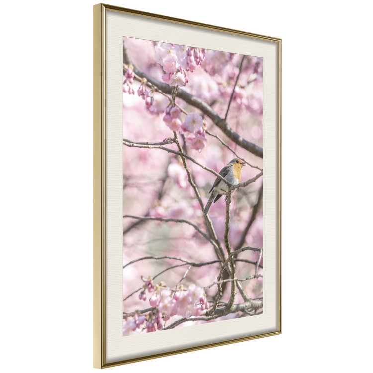 Wall Poster Robin on Tree - small bird among branches and pink apple blossoms 116724 additionalImage 2