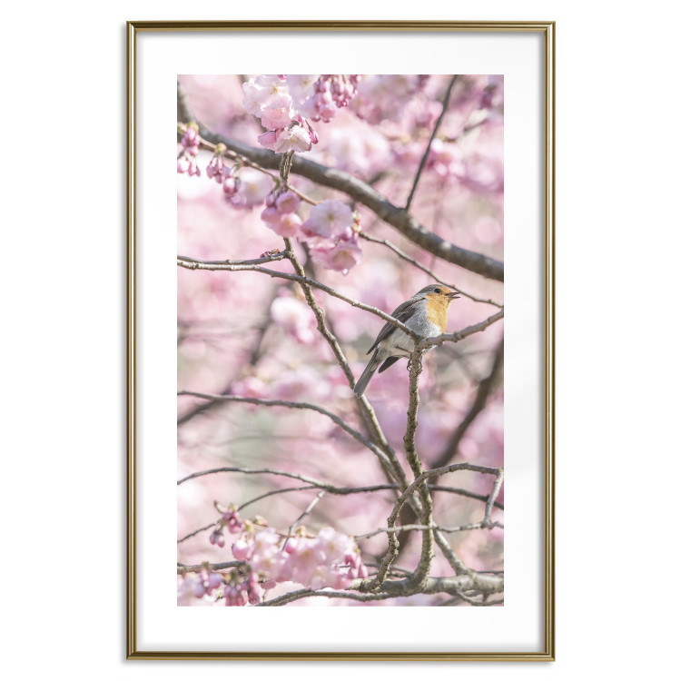Wall Poster Robin on Tree - small bird among branches and pink apple blossoms 116724 additionalImage 27