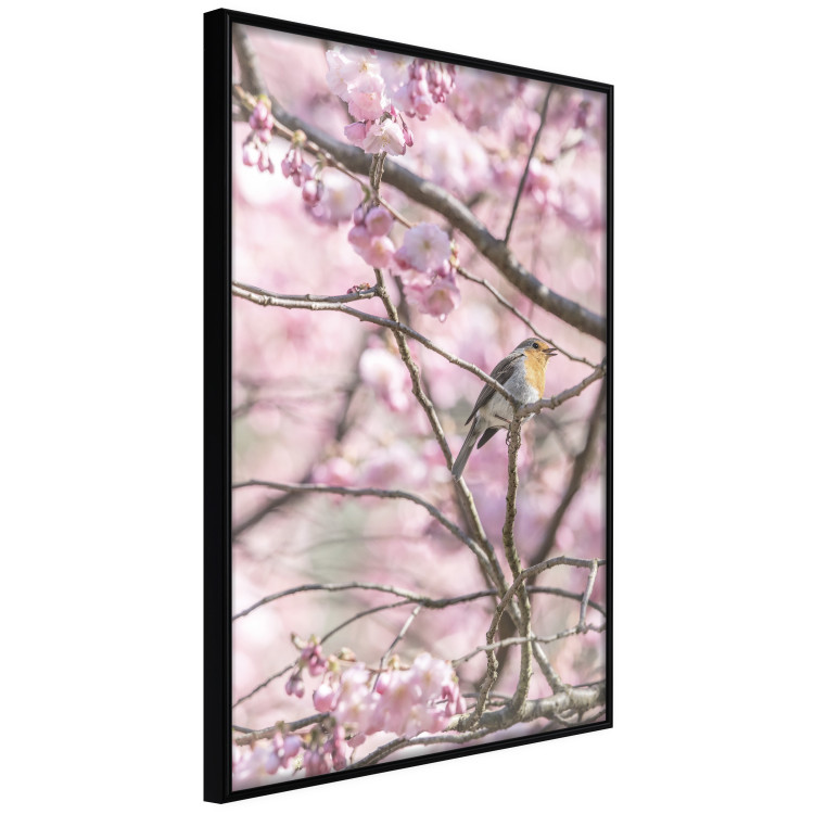 Wall Poster Robin on Tree - small bird among branches and pink apple blossoms 116724 additionalImage 10