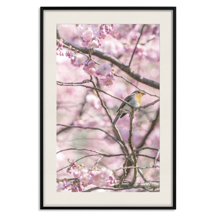 Wall Poster Robin on Tree - small bird among branches and pink apple blossoms 116724 additionalImage 25