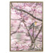 Wall Poster Robin on Tree - small bird among branches and pink apple blossoms 116724 additionalThumb 17