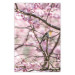 Wall Poster Robin on Tree - small bird among branches and pink apple blossoms 116724