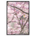 Wall Poster Robin on Tree - small bird among branches and pink apple blossoms 116724 additionalThumb 19