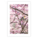 Wall Poster Robin on Tree - small bird among branches and pink apple blossoms 116724 additionalThumb 18