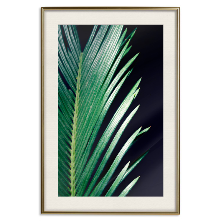 Poster Sharp Leaves - botanical composition with plants on a background of deep black 119024 additionalImage 19