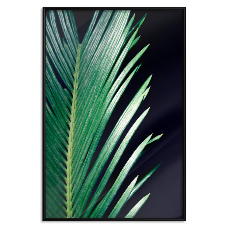 Poster Sharp Leaves - botanical composition with plants on a background of deep black 119024 additionalImage 24
