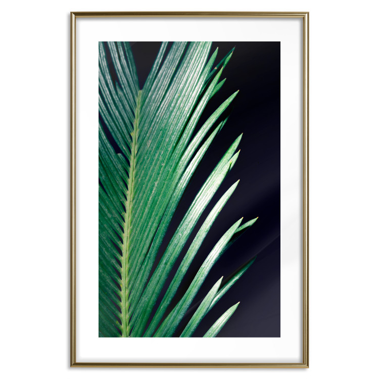 Poster Sharp Leaves - botanical composition with plants on a background of deep black 119024 additionalImage 16