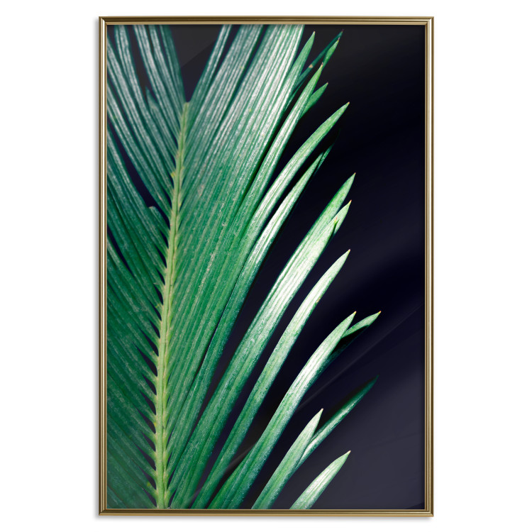 Poster Sharp Leaves - botanical composition with plants on a background of deep black 119024 additionalImage 20