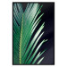 Poster Sharp Leaves - botanical composition with plants on a background of deep black 119024 additionalThumb 24