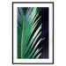 Poster Sharp Leaves - botanical composition with plants on a background of deep black 119024 additionalThumb 17